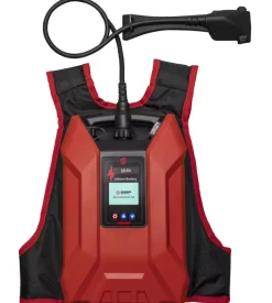 Abbacchiatore olive a batteria zainato dc50 blue bird 