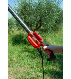 Abbacchiatore olive blue bird 