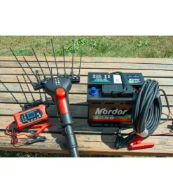 Abbacchiatore olive blue bird 