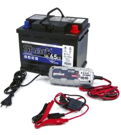 Abbacchiatore olive blue bird 