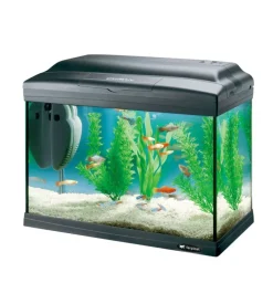 Acquario cayman 40 classic nero - 41,5 x 21,5 x h 34 cm - 21 l - ferplast