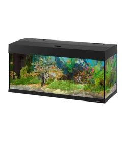 Acquario dubai 100 nero con led -101 x 41 x h 53 cm - 190 l - ferplast