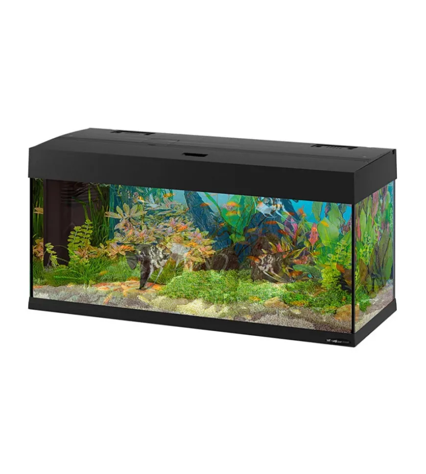 Acquario dubai 100 nero con led -101 x 41 x h 53 cm - 190 l - ferplast