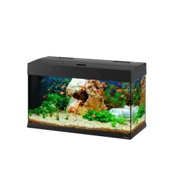 Acquario dubai 80 nero con led - 81 x 36 x h 51 cm, 125 l - ferplast