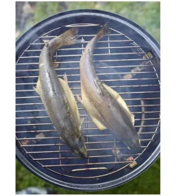 Affumicatoio weber "smokey mountain cooker" diametro 47 cm