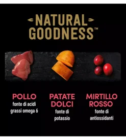 Alimento umido per cani cesar con pollo, patate e piselli 400 gr