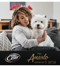 Alimento umido per cani cesar "ricette di campagna" con manzo succoso, carote e prezzemolo 150 gr