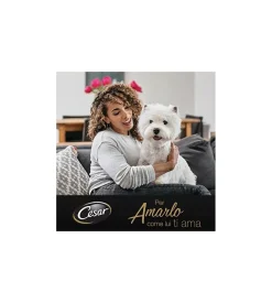 Alimento umido per cani cesar con manzo e cuore di verdure 150 gr