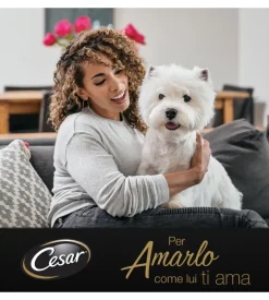 Alimento umido per cani cesar 