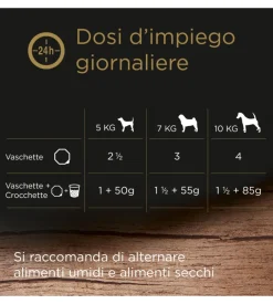 Alimento umido per cani cesar 