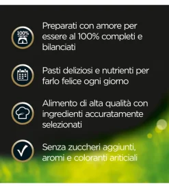 Alimento umido per cani cesar con pollo e carotine 150 gr