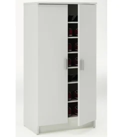 Armadio scarpiera bianco con 2 ante, 54,6x35,3x108 cm