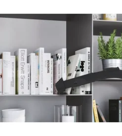 Aspirapolvere a traino senza sacco 