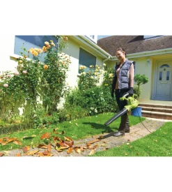 Aspiratore soffiatore elettrico ryobi rbv2800csv 2800w