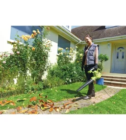 Aspiratore soffiatore elettrico ryobi rbv3000csv 3000w