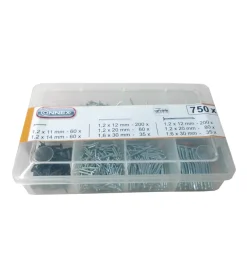 Assortimento chiodi 750 pz.
