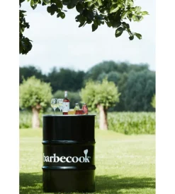 Barbecue a carbone barbecook 