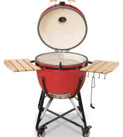 Barbecue a carbone kamado bono 