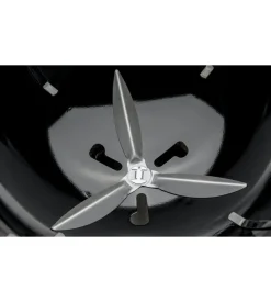 Barbecue a carbone weber 