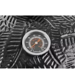 Barbecue a carbonella barbecook