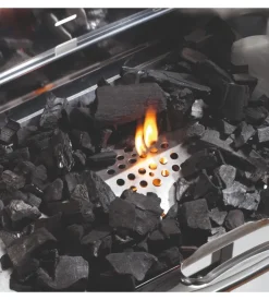 Barbecue a carbonella ompagrill 