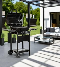Barbecue a gas arnold
