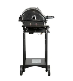 Barbecue a gas arnold