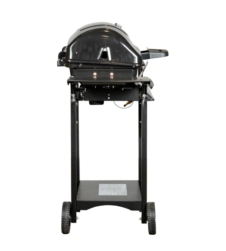 Barbecue a gas arnold "arizona" 2 bruciatori 115x55x102 cm