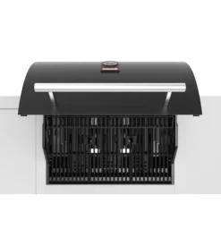 Barbecue a gas barbecook 