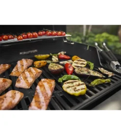 Barbecue a gas weber 