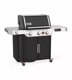 Barbecue a gas weber