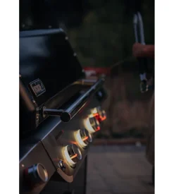 Barbecue a gas weber 