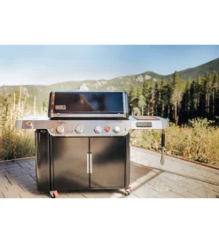 Barbecue a gas weber 