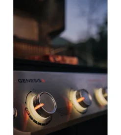 Barbecue a gas weber 