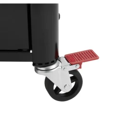 Barbecue a gas weber 