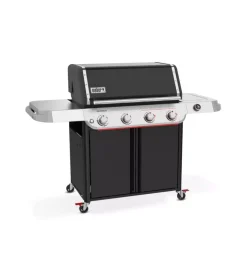 Barbecue a gas weber