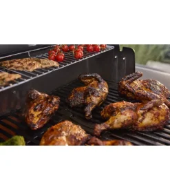 Barbecue a gas weber