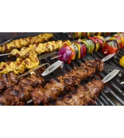 Barbecue a gas weber