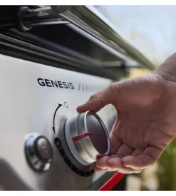 Barbecue a gas weber