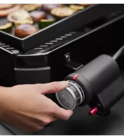 Barbecue a gas weber 