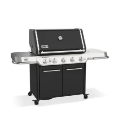 Barbecue a gas weber 