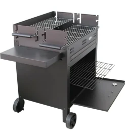 Barbecue a legna e carbone 