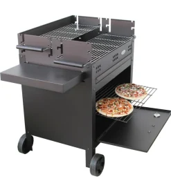 Barbecue a legna e carbone 