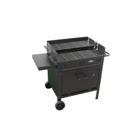 Barbecue a legna e carbone 