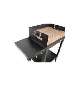 Barbecue a legna e carbone 