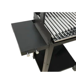 Barbecue a legna e carbone  