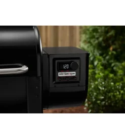 Barbecue a pellet weber 