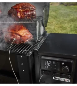 Barbecue a pellet weber 