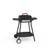 Barbecue elettrico barbecook "alexia 5111" con griglia 41x36 cm