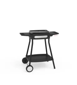 Barbecue elettrico barbecook 
